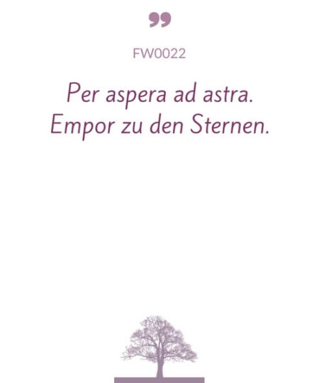 Mustertext "Per aspera ad astra..."
