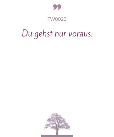 Mustertext "Du gehst nur voraus..."