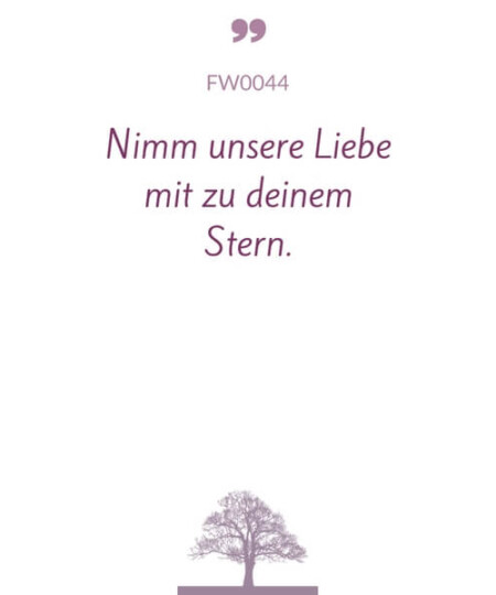 Mustertext "Nimm unsere Liebe zu deinem Stern..."