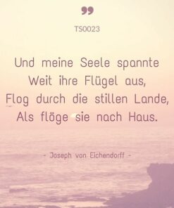 ts0023-und-meine-seele