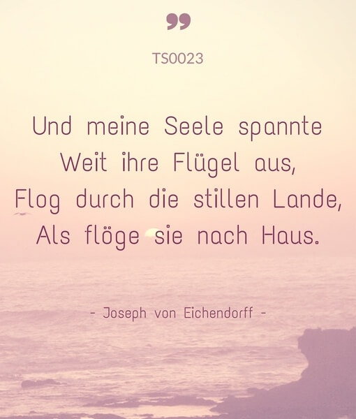 ts0023-und-meine-seele