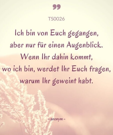Trauerspruch "Ich bin von Euch gegangen..."