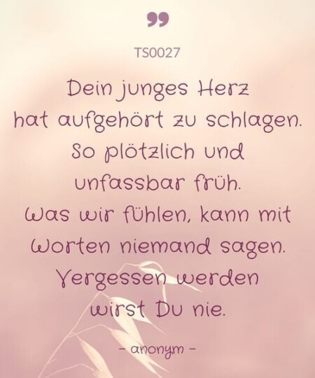 Trauerspruch "Dein junges Herz..."