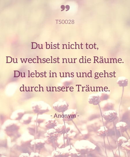 ts0028-du-bist-nicht-tot