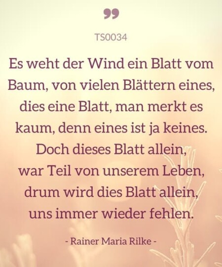 Trauerspruch "Es weht der Wind ein Blatt vom Baum..."