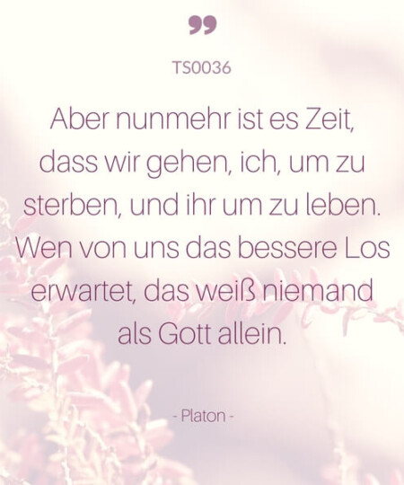 Trauerspruch "Aber nunmehr ist es Zeit zu gehen..."