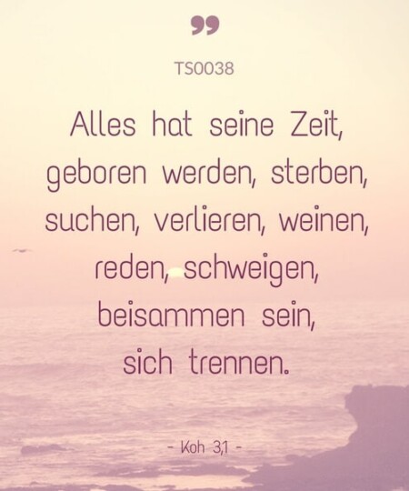 Trauerspruch "Alles hat seine Zeit geboren werden..."