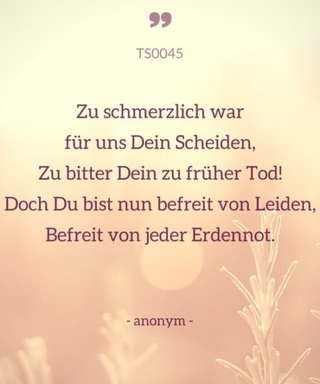 Trauerspruch "Zu schmerzlich war für uns Dein scheiden..."