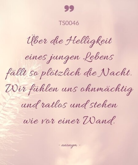 Trauerspruch "Über die Helligkeit eines jungen Lebens..."