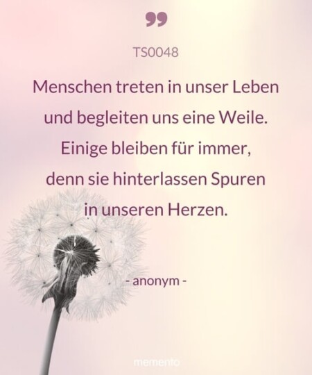 Trauerspruch "Menschen treten in unser Leben..."