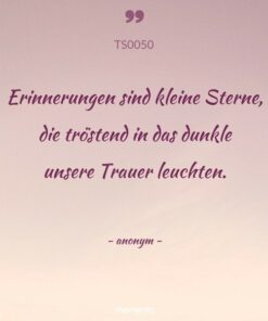 ts0050-erinnerungen-sind-kleine-sterne