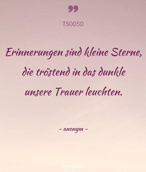 ts0050-erinnerungen-sind-kleine-sterne