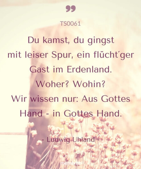 Trauerspruch "Du kamst du gingst mit leiser Spur..."