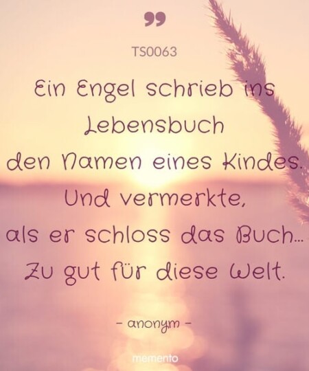 Trauerspruch "Ein Engel schrieb ins Lebensbuch..."