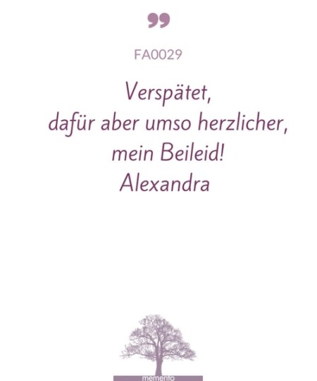 FA0029-Mustertext-verspaetet-dafuer-aber