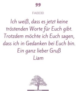 FA0030-Mustertext-keine-troestenden-worte