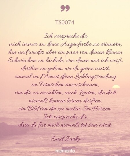 TS0074-ich-verspreche-dir